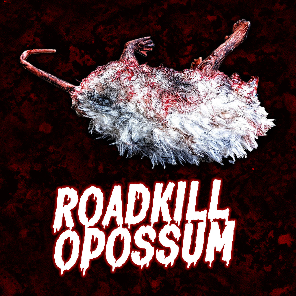 Roadkill Opossum