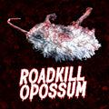 Roadkill Opossum